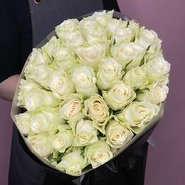 Exotic-flowers