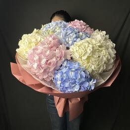 Bloomera flow