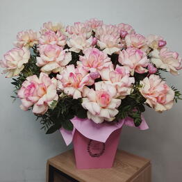 Vipflowers