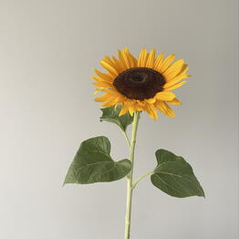 Flower Art 