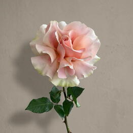 Flowershop.store