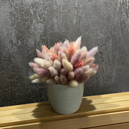 Floristería