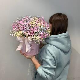 Fiore Lily spb