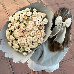 ANFLOR