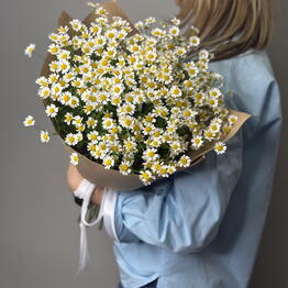 Florideya 