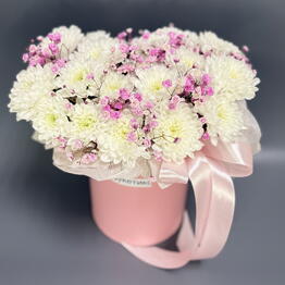 Arka flowers