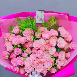 Aroma-Nika