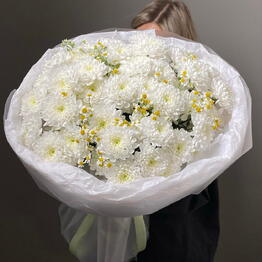 Aslan Flowers