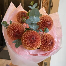 Dozi Flowers