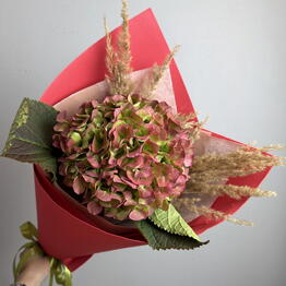 Volkova flowers