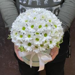 Phoenix Floristic Studio
