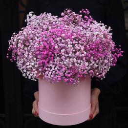Prime Flowers