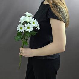 Роза Лэнд