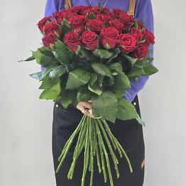 Aslan Flowers