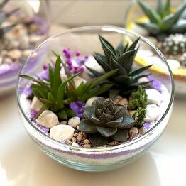 Florariumy «Neva»