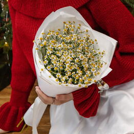 Mono Flowers