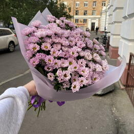 БЕЗ ПОВОДА