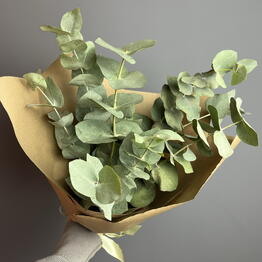 Volkova flowers