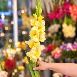 M. Flowers