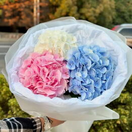 Amazing Flowers