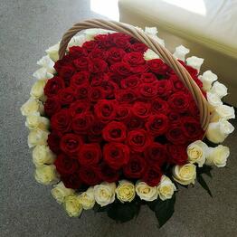 FloraDiscont