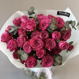 Флореллеси 