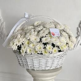 Grandflowers