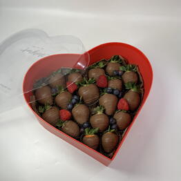 Chocolate Dreams