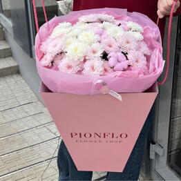 PIONFLO