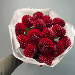Costa Flowers