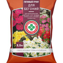 Цветы Бутоника