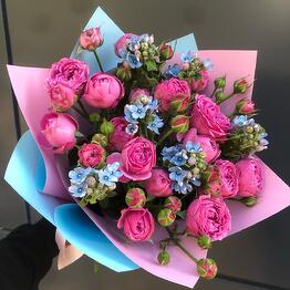 Florideya 