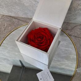 AS-flowers