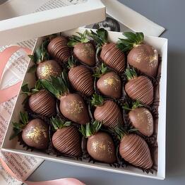 Choco.dayss 