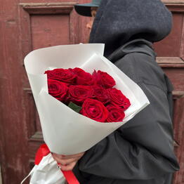 Pion_Spb