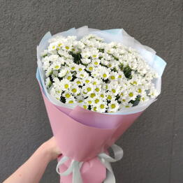Мерси