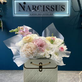 NARCISSUS