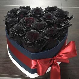 HighRose Prestige