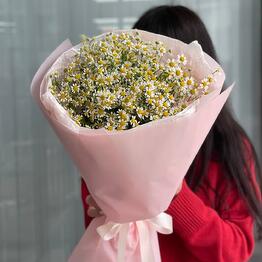 Апрель