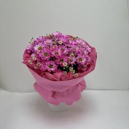 ЭкоРоза