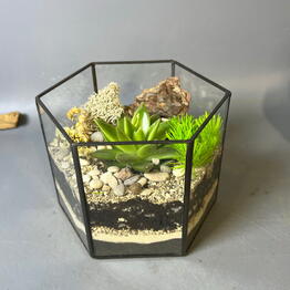 Flo Florarium