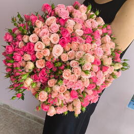 Dream Flowers
