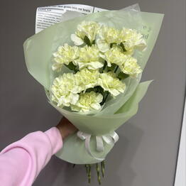 Stt.Flowers