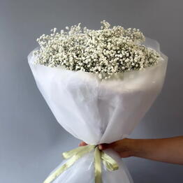 Ahs Flowers
