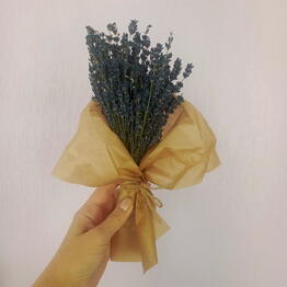Ptichki-Pryanichki