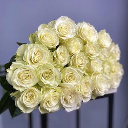 OSHO FLOWERS