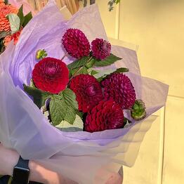 Dozi Flowers