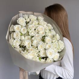 Nairi
