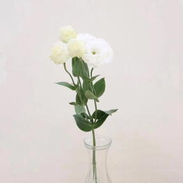 Flowers Boom