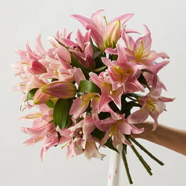 Rozen Dozen